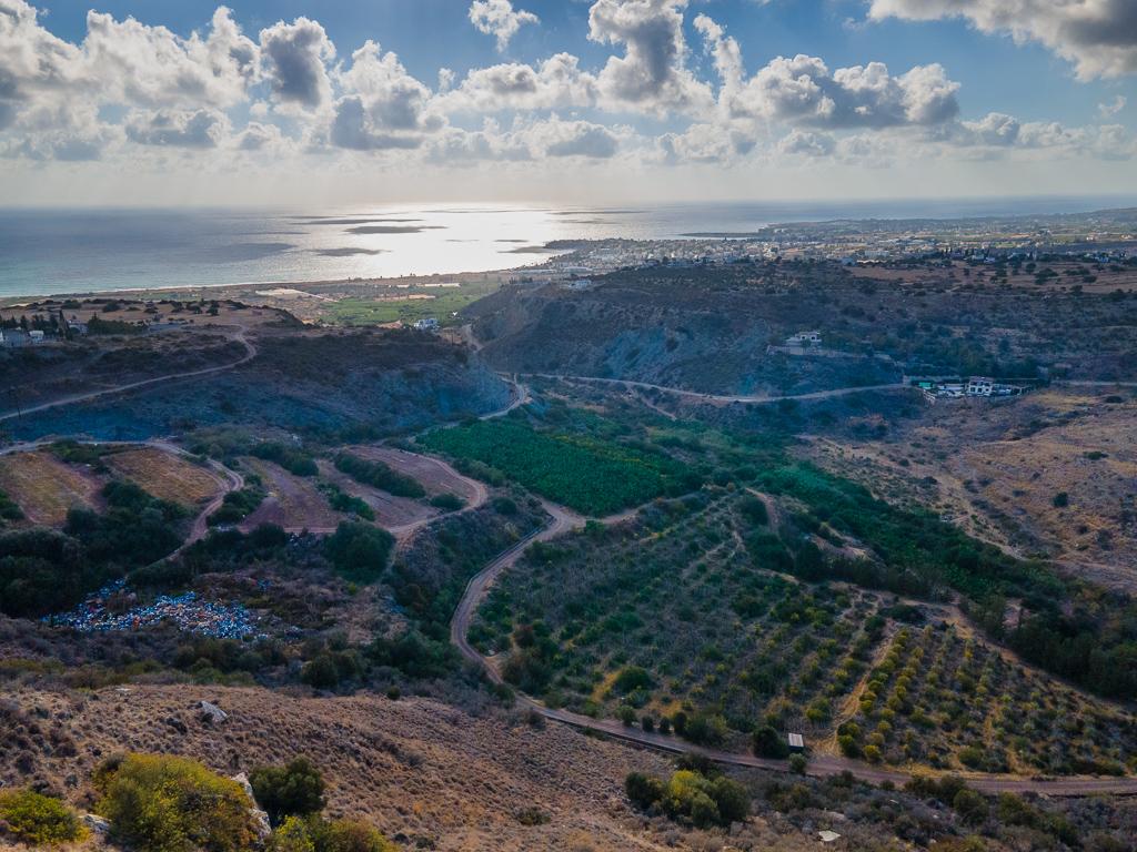 Field-Pegeia-PR41072