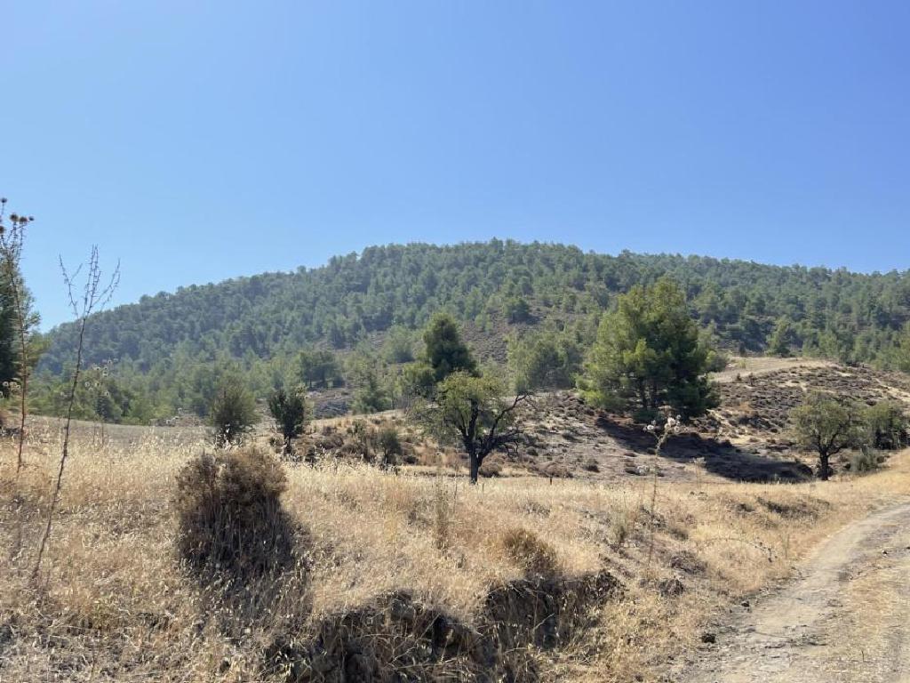 Field (Share) - Klirou, Nicosia