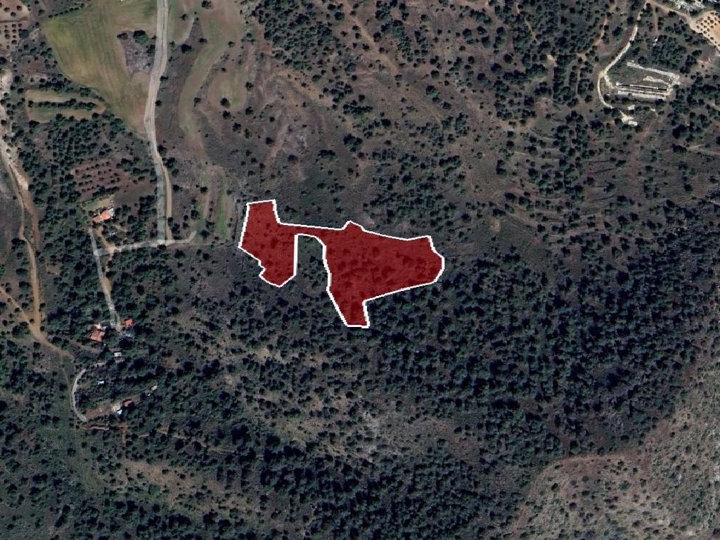 Field (Share) - Klirou, Nicosia
