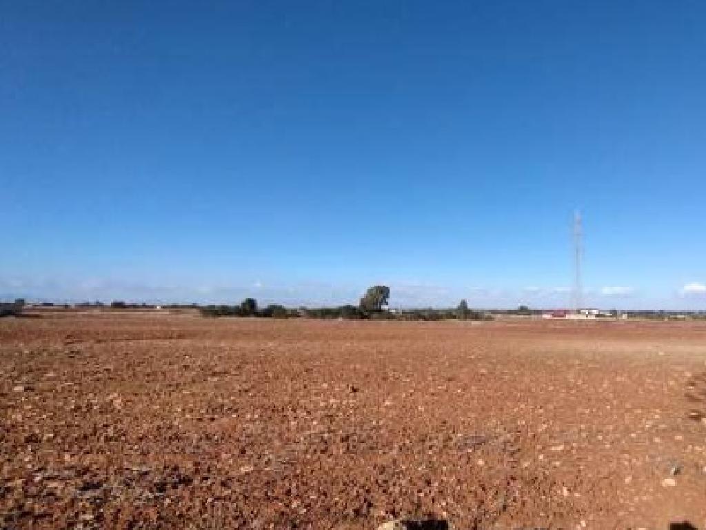 Field-Xylofagou-PR41682