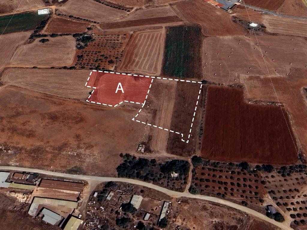 Field-Xylofagou-PR41682