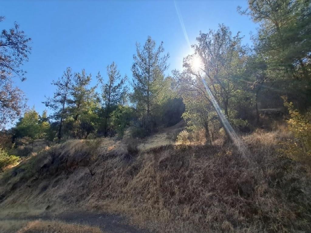Field-Agios Georgios (Kafkallou)-PR42040