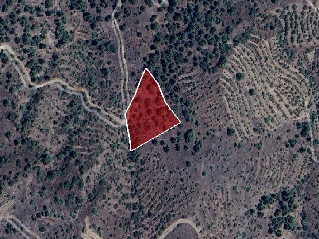 Field-Agios Georgios (Kafkallou)-PR42040