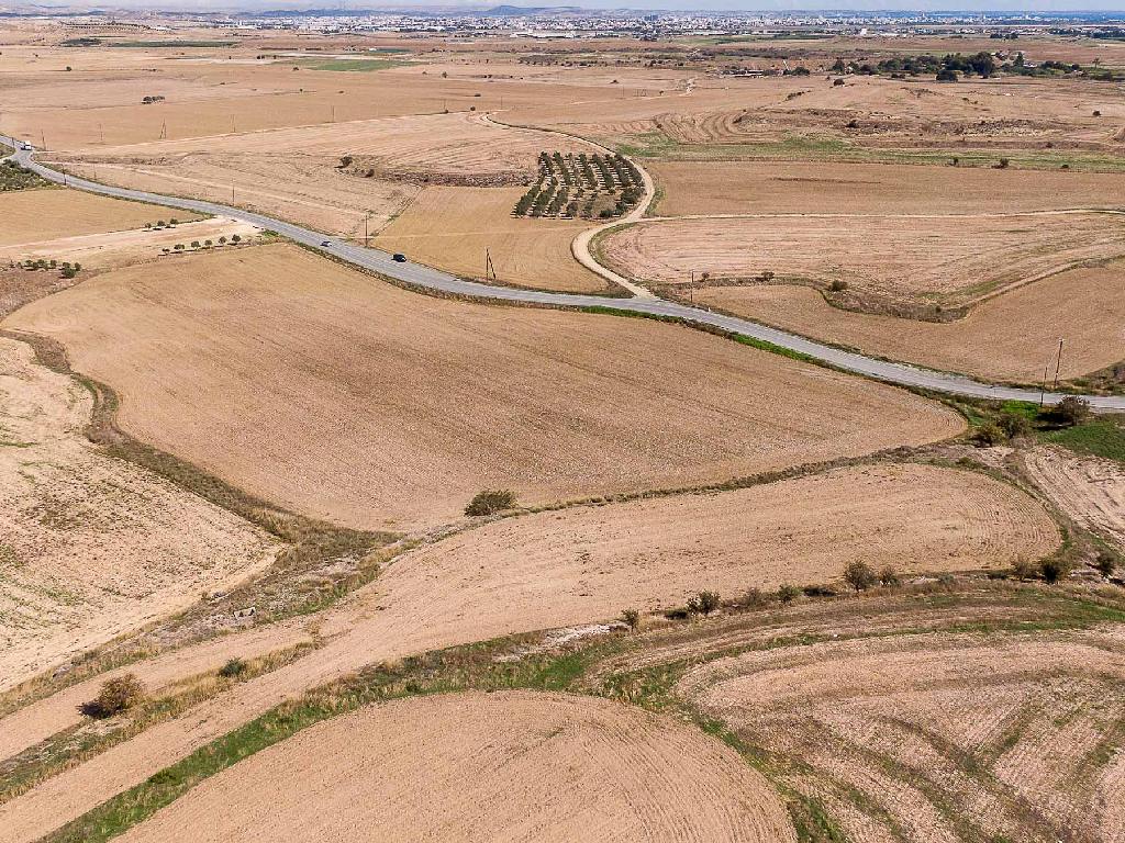 Field (Share) - Tersefanou, Larnaca