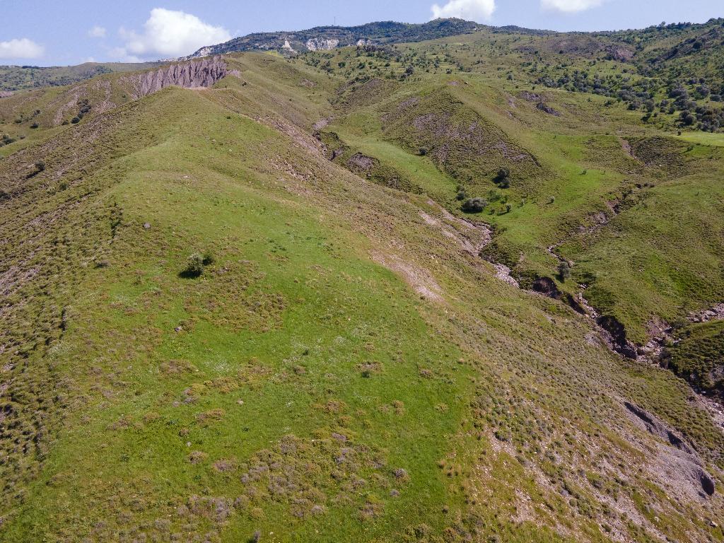 Field-Kelokedara-PR32705