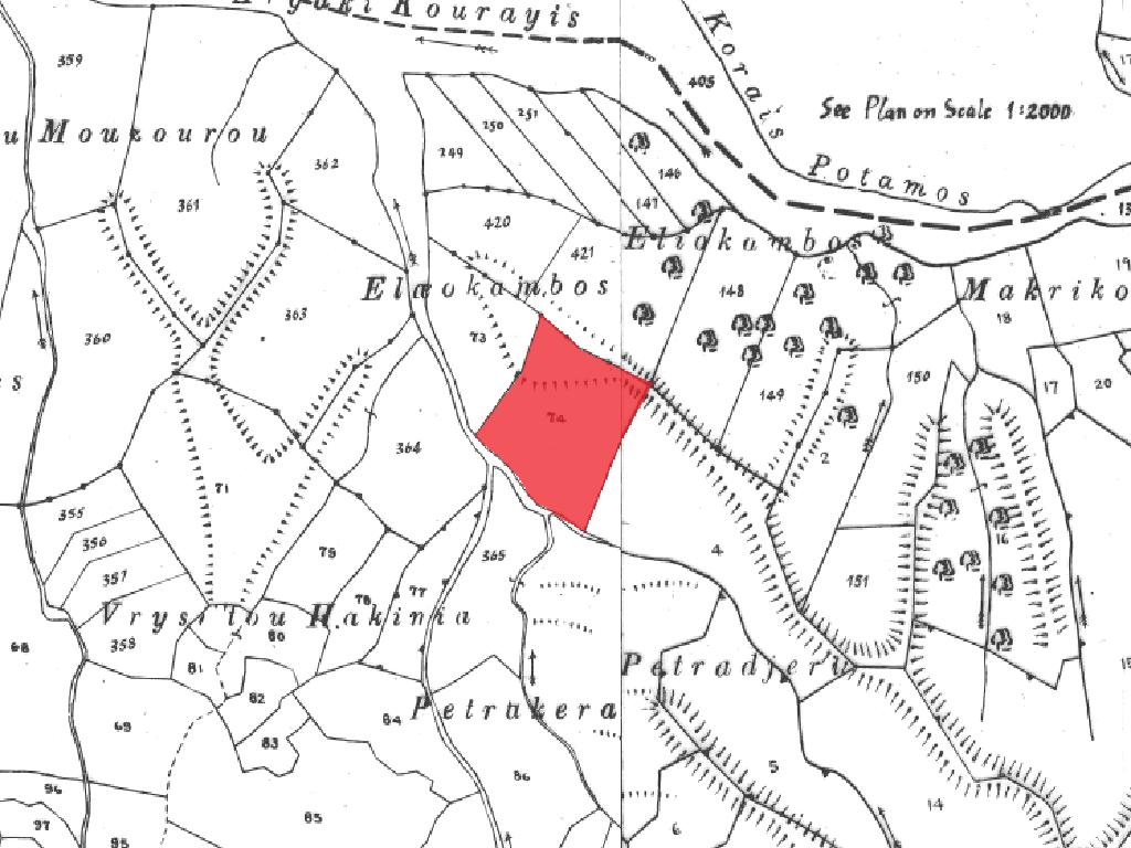 Field-Kelokedara-PR32705