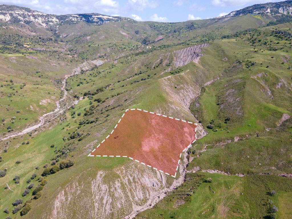 Field-Kelokedara-PR32705