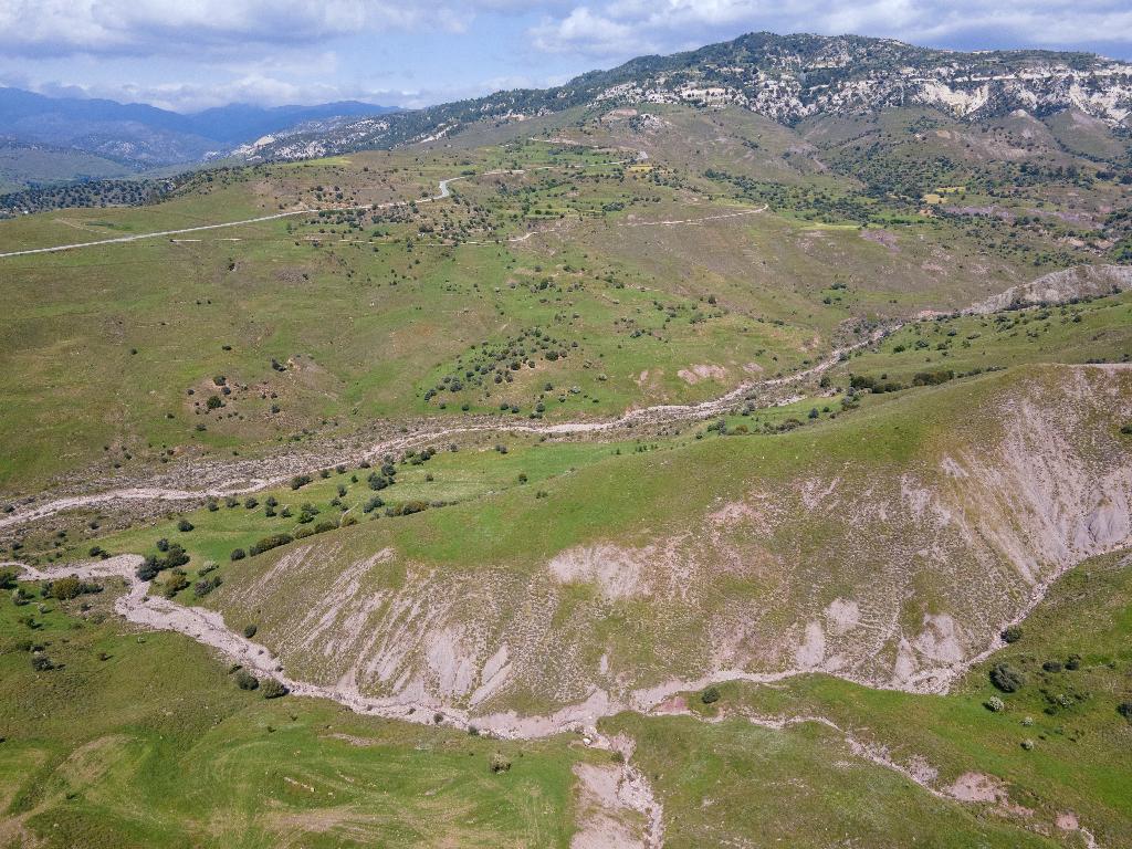 Field-Kelokedara-PR32705