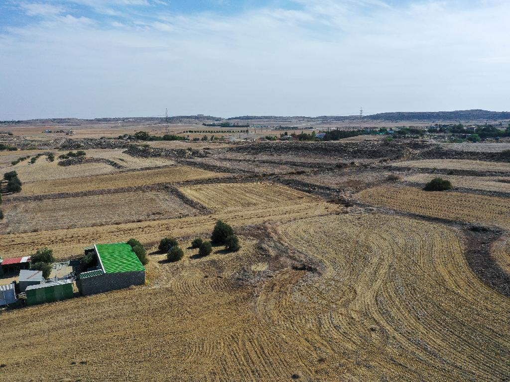Field-Geri-PR32727