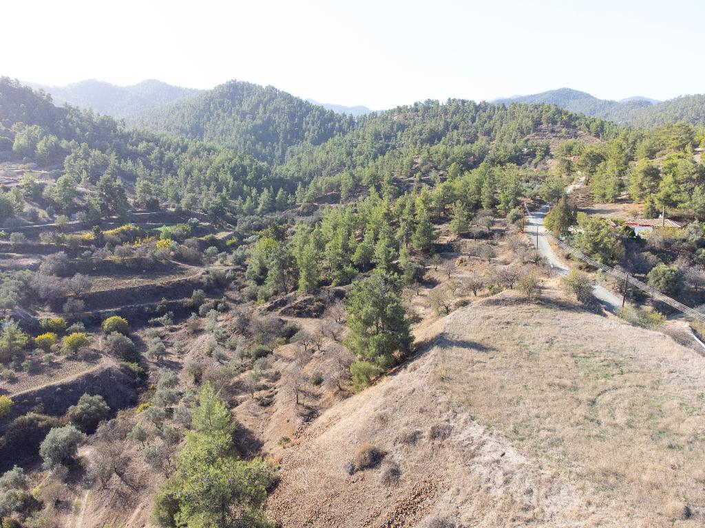 Field - Xyliatos, Nicosia