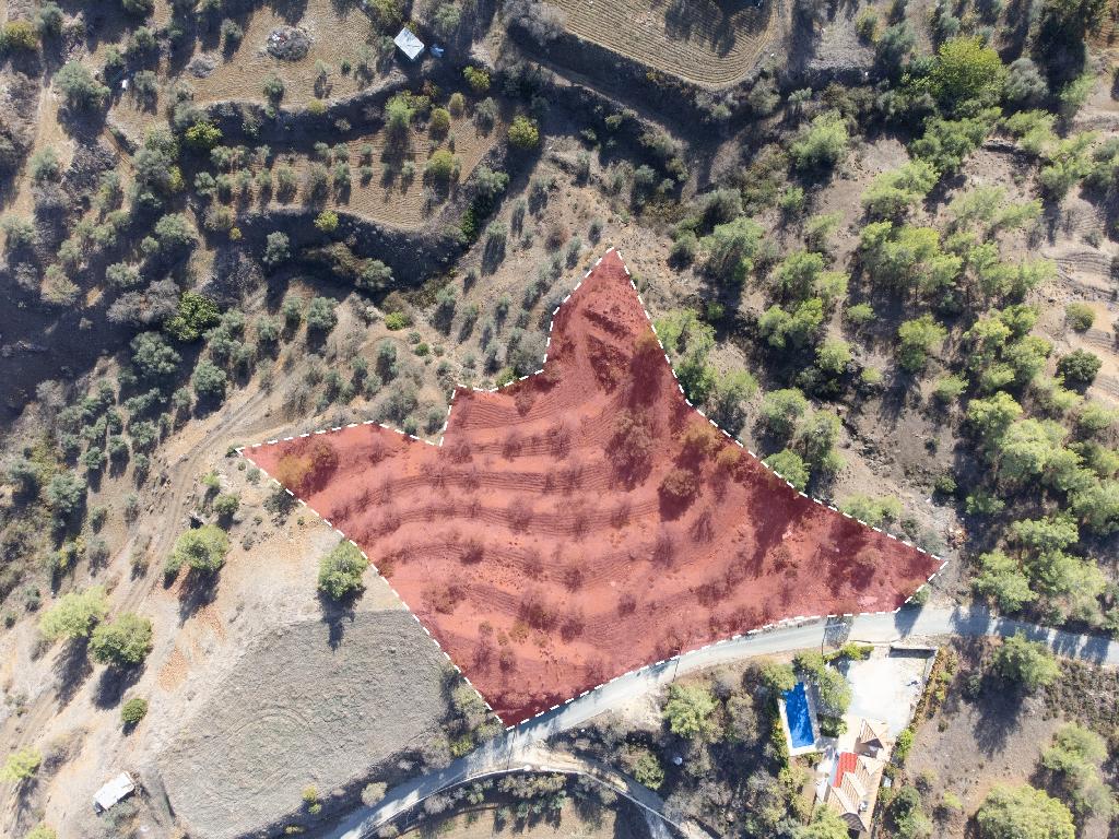 Field - Xyliatos, Nicosia
