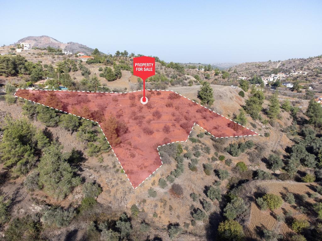 Field - Xyliatos, Nicosia