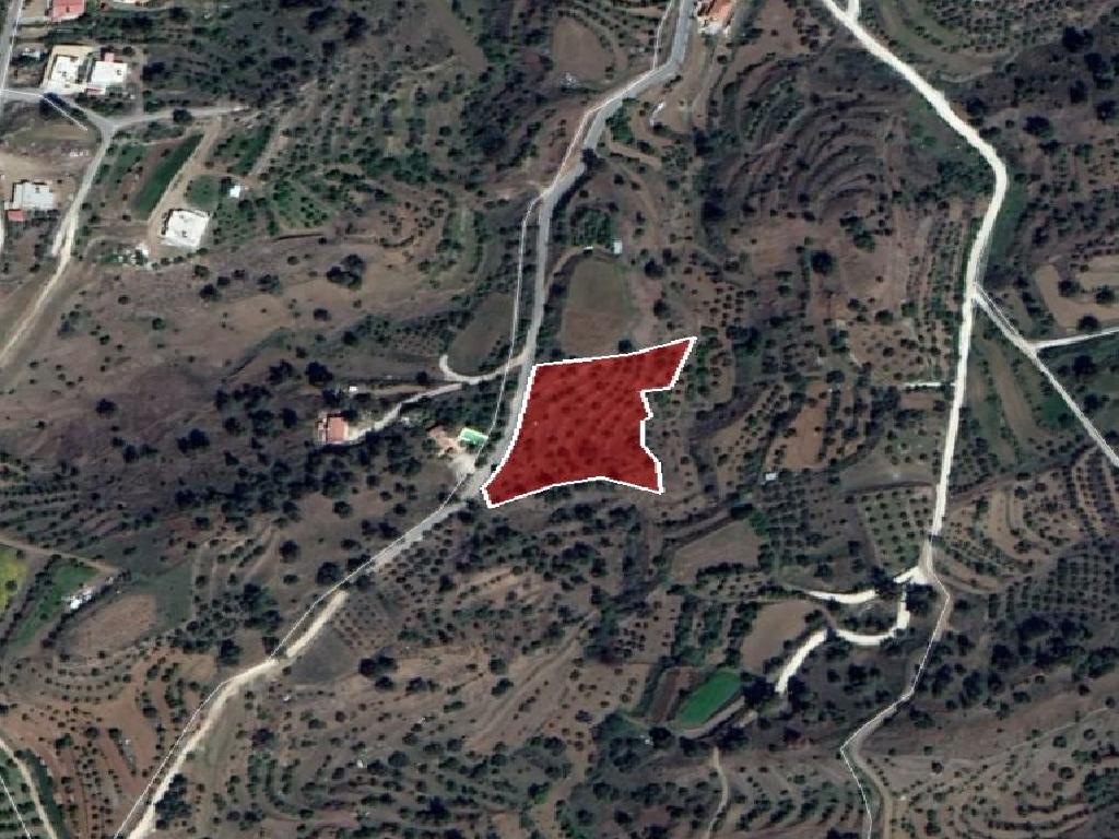 Field-Xsyliatos-PR33927