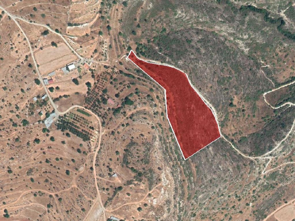 Field-Pachna-PR34621