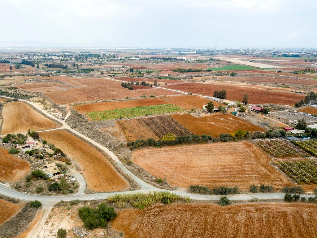 Field - Frenaros, Famagusta