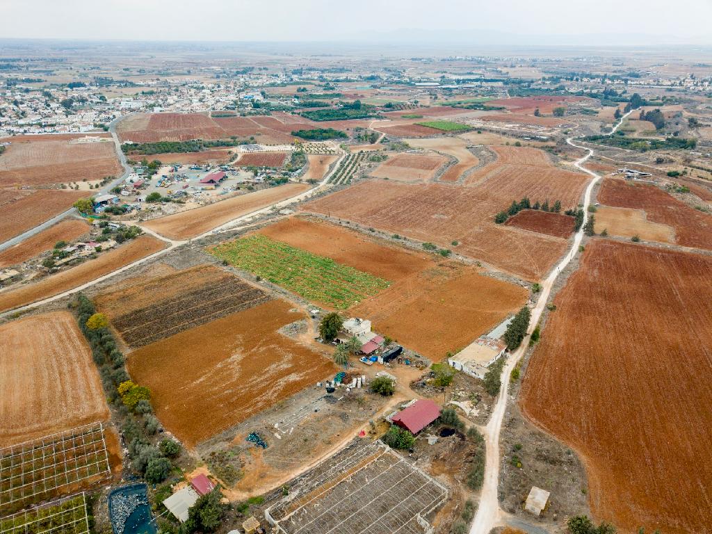 Field - Frenaros, Famagusta