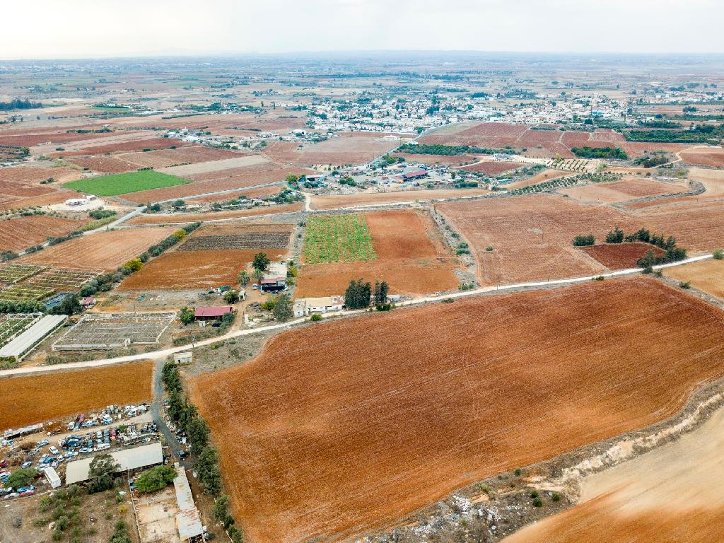 Field - Frenaros, Famagusta