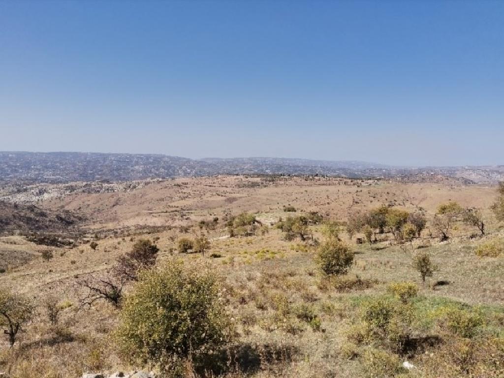 Field-Statos - Agios Fotios-PR38359
