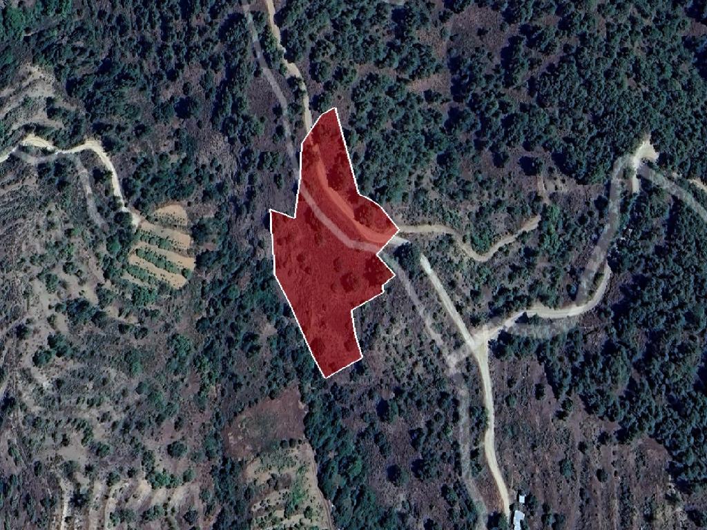 Field-Kannavia-PR38707