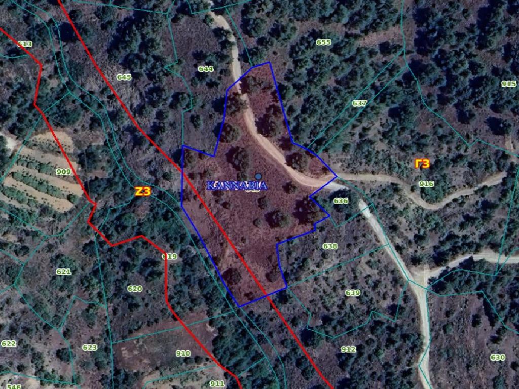 Field-Kannavia-PR38707