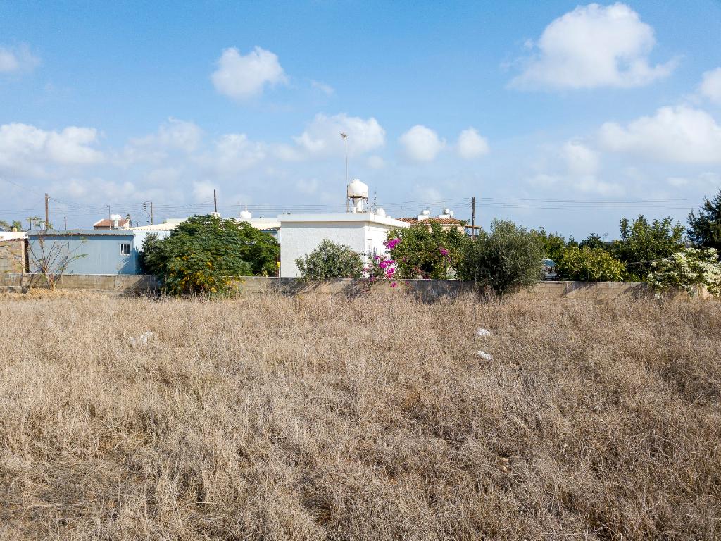 Field-Xylofagou-PR38880