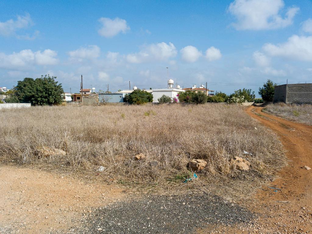 Field-Xylofagou-PR38880