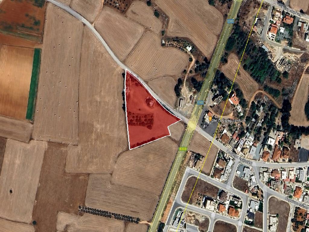 Field-Xylotimpou-PR39512