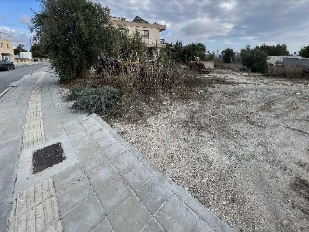 Field (Share) - Limpia, Nicosia