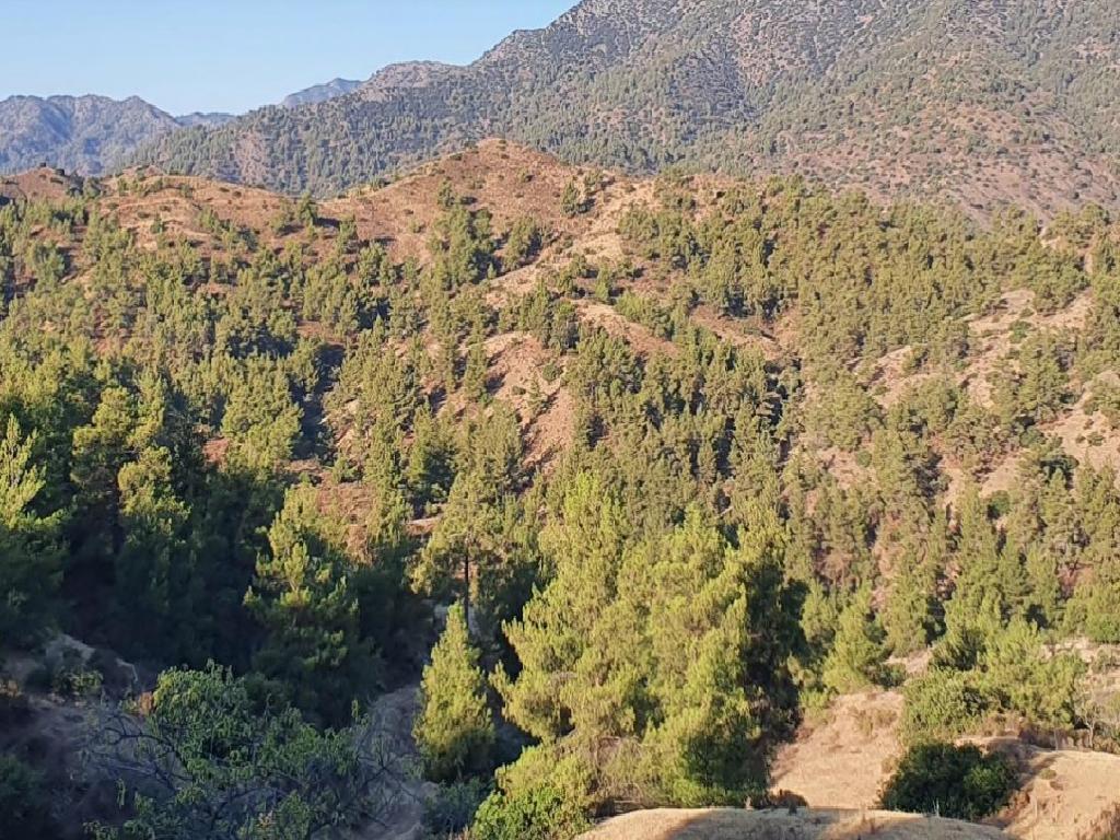 Field-Farmakas-PR40164
