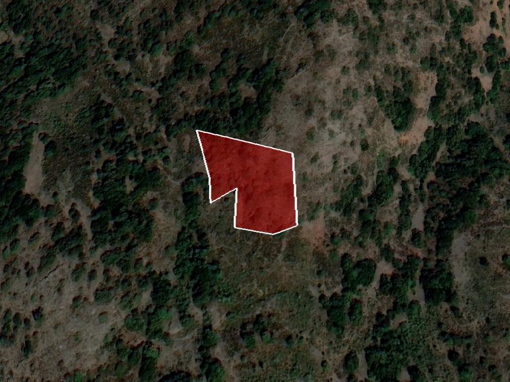 Field-Farmakas-PR40164