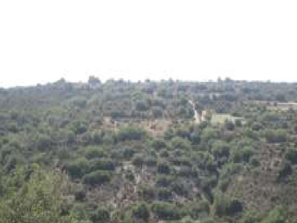 Field-Polemi-PR40635