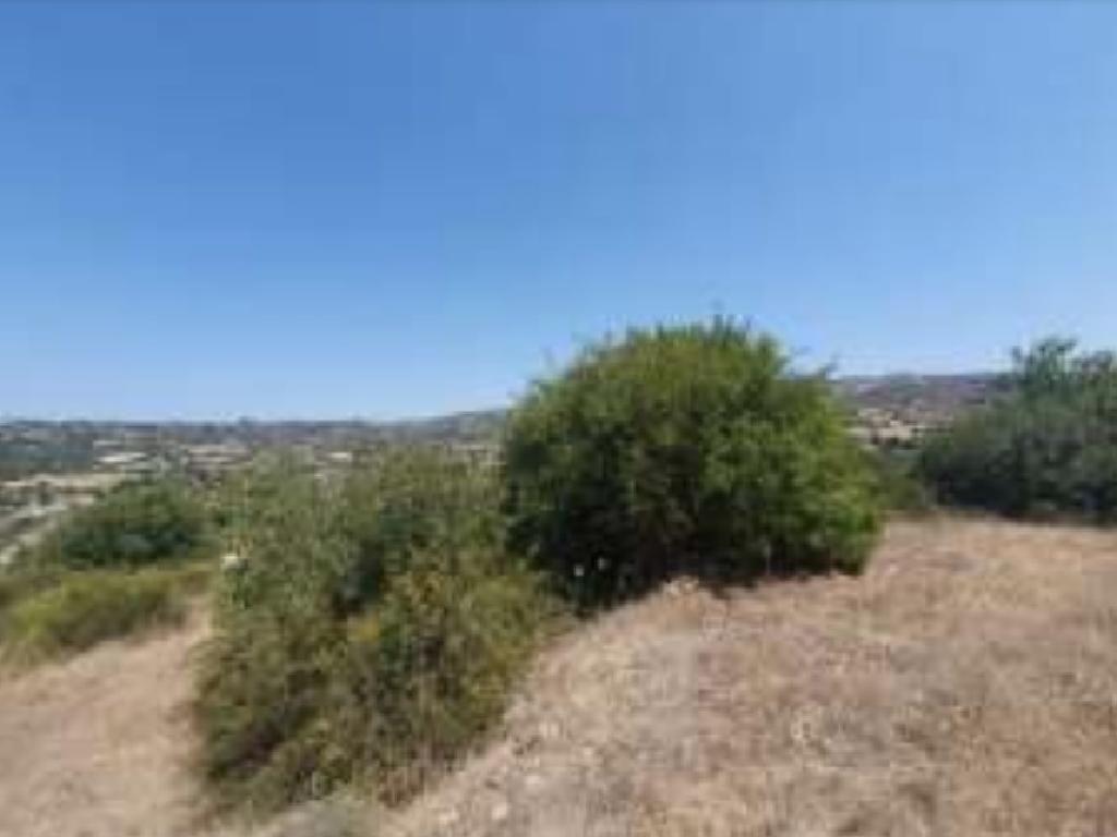Field-Polemi-PR40635