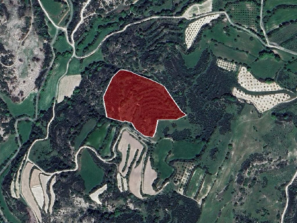 Field-Polemi-PR40635