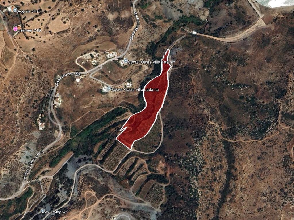 Field-Pegeia-PR41076