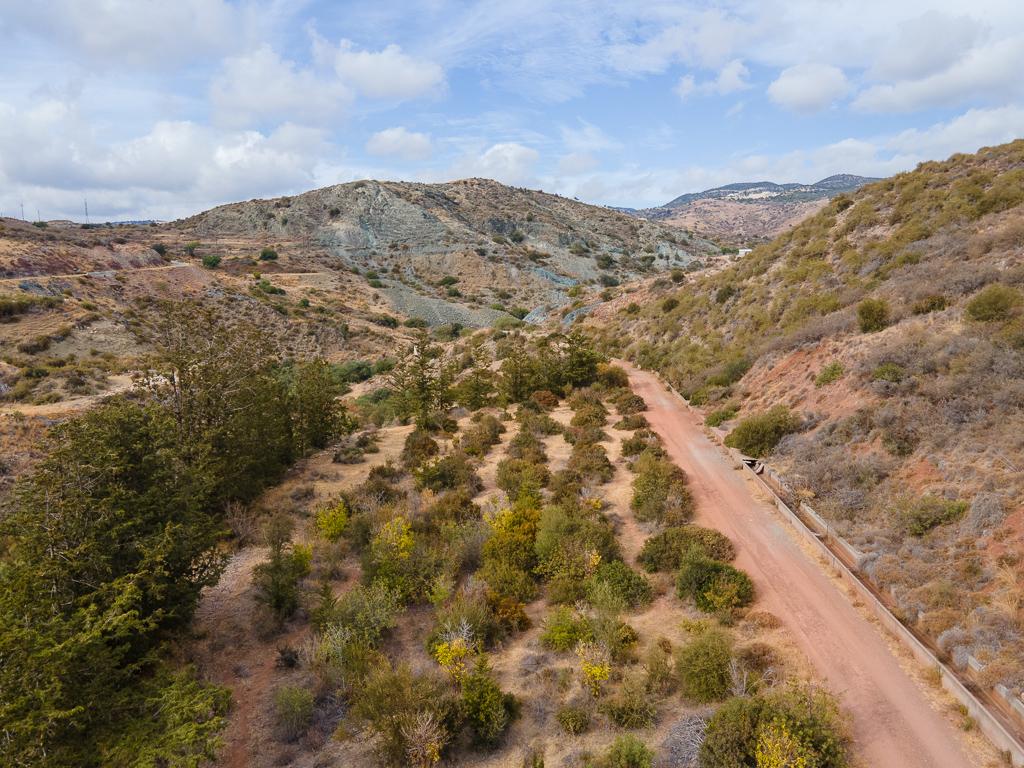 Field-Pegeia-PR41076