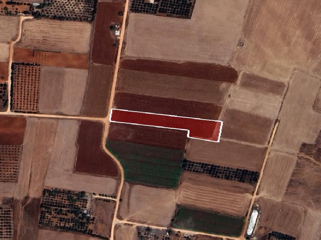 Field-Xylofagou-PR41382