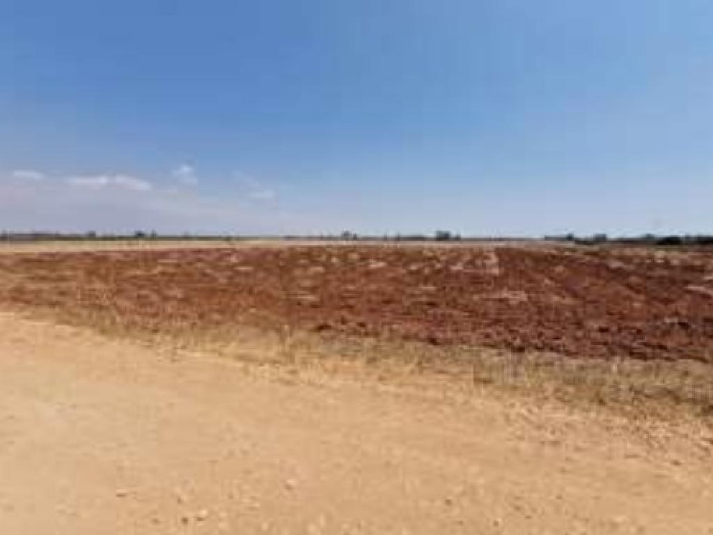 Field-Xylofagou-PR41382