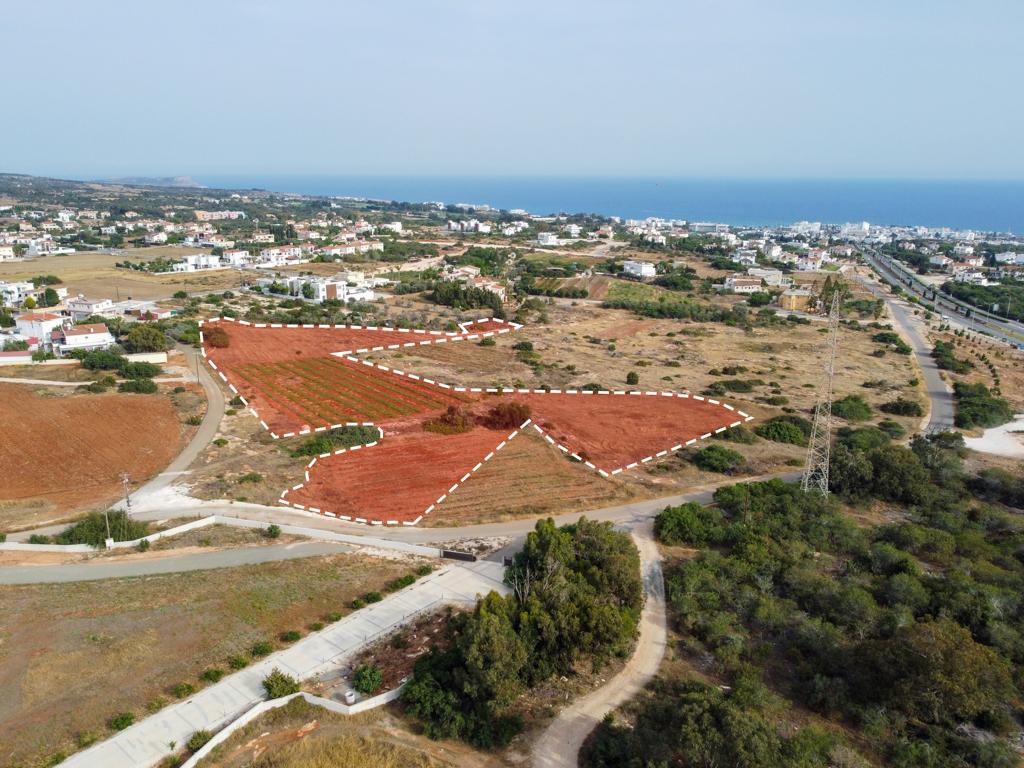 Field-Agia Napa-PR41784