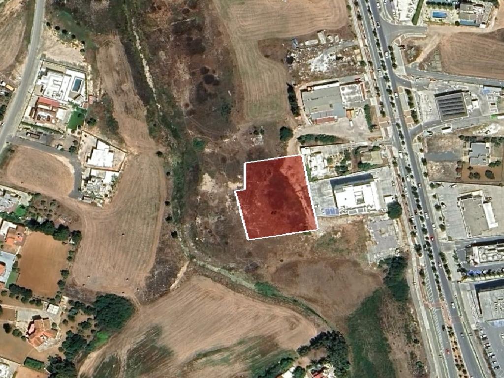 Field-Paralimni-PR41892