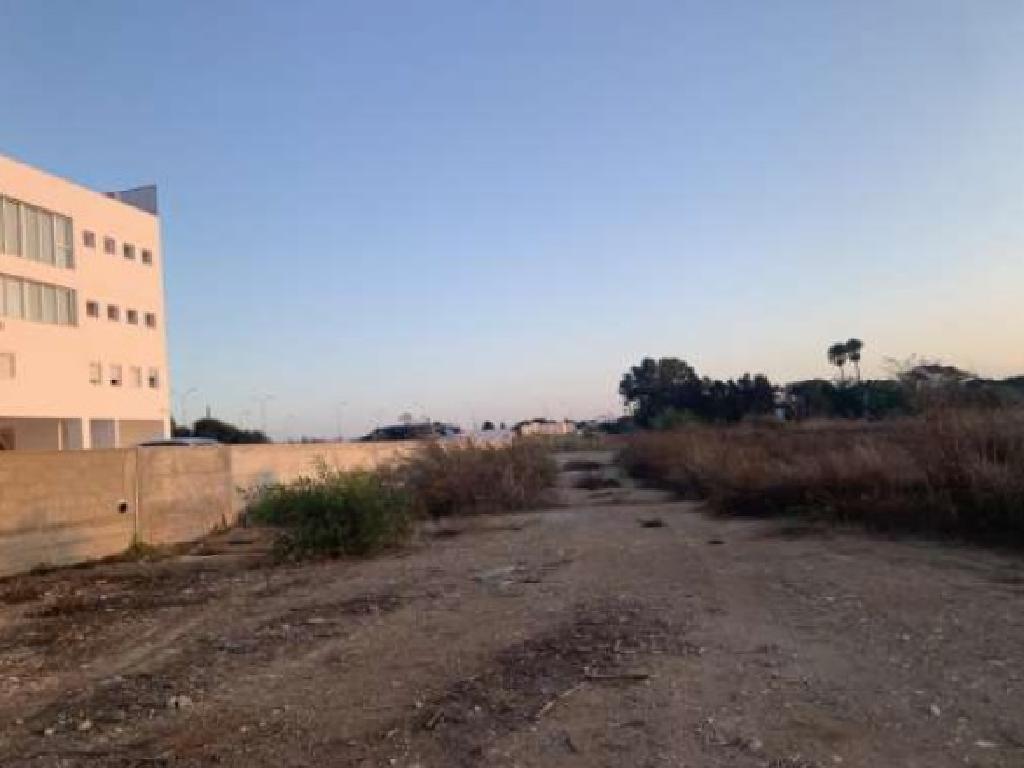 Field-Paralimni-PR41892