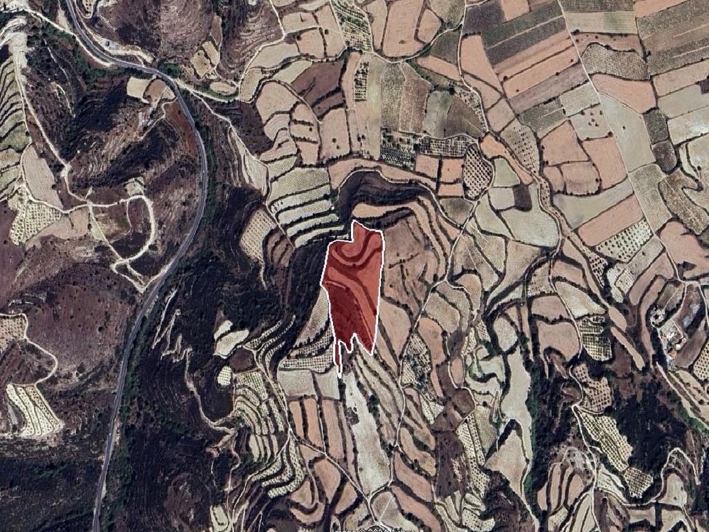 Field-Kallepeia-PR41963