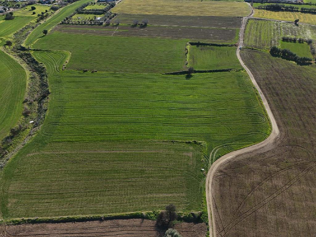 Field-Episkopeio-PR42078