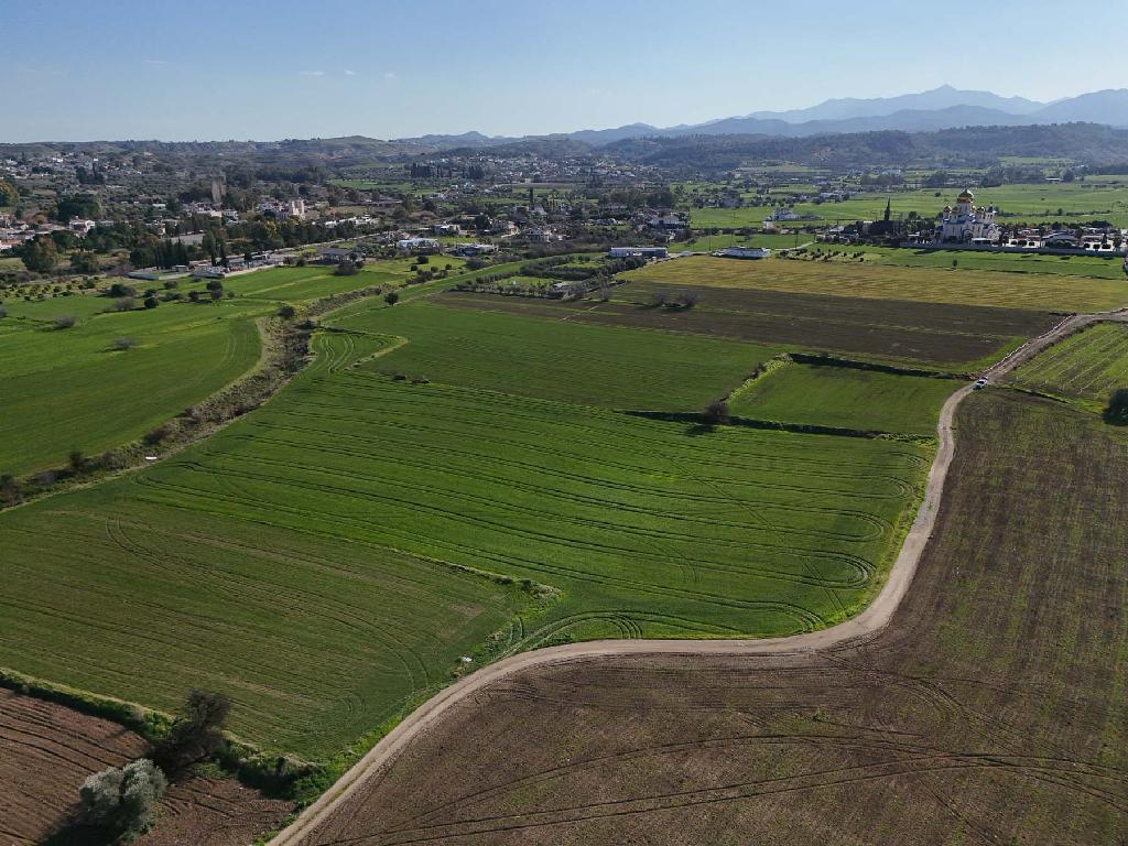 Field-Episkopeio-PR42078