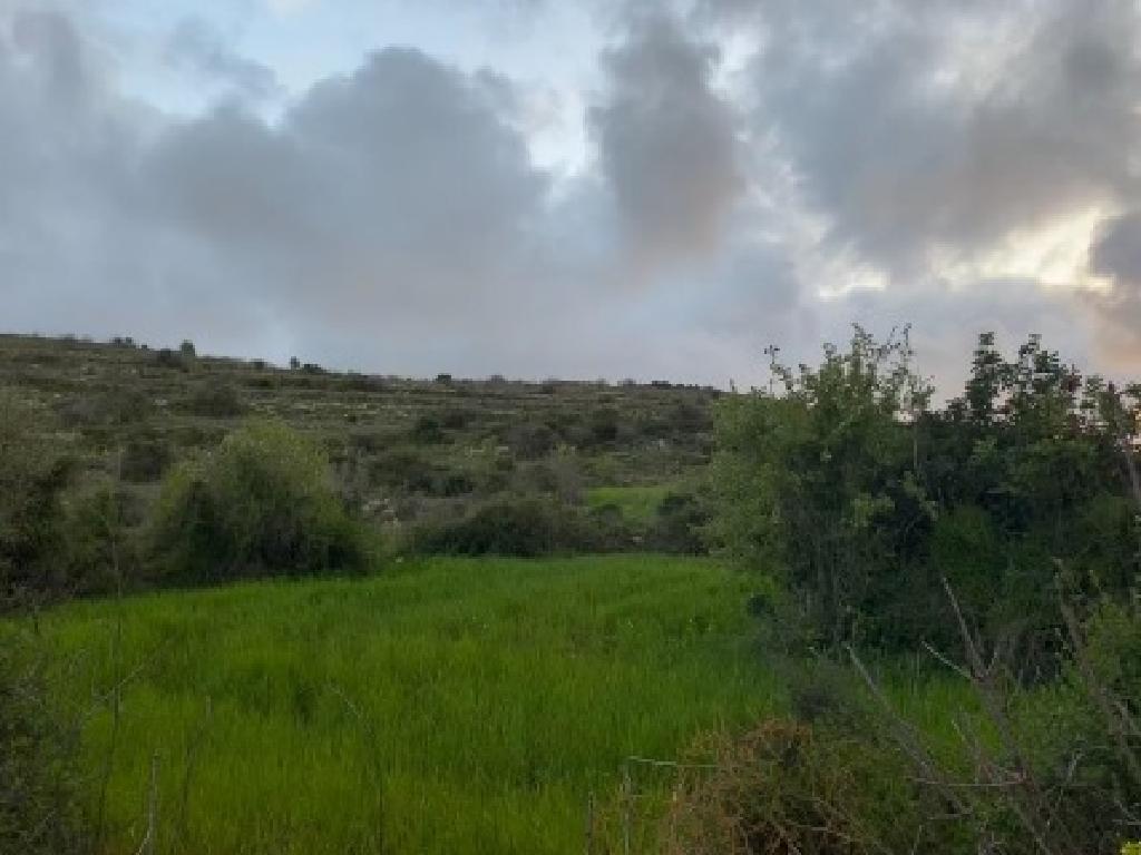 Field-Kritou Terra-CP10076