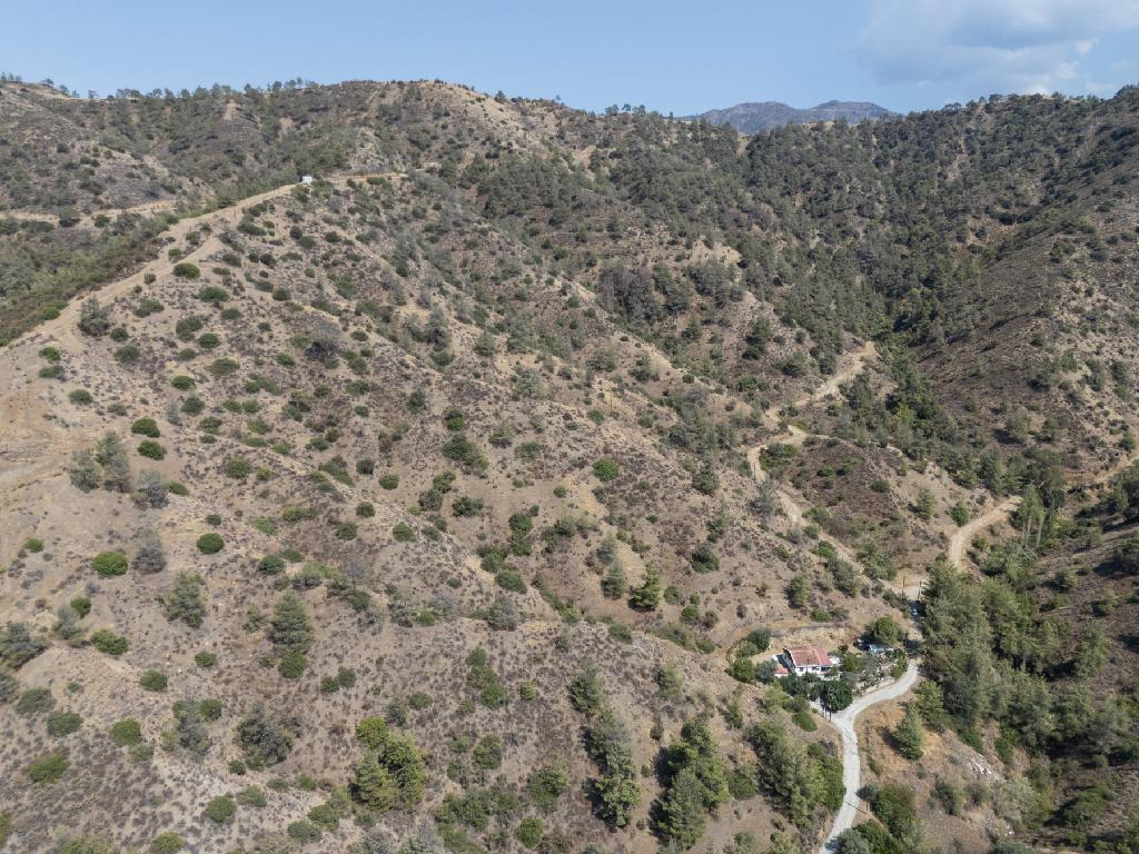 Χωράφι - Σινά Όρος , Λευκωσία