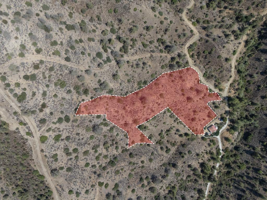 Χωράφι - Σινά Όρος , Λευκωσία