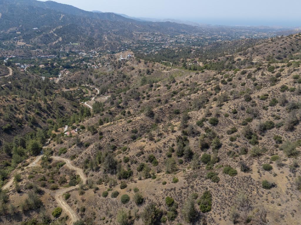 Χωράφι - Σινά Όρος , Λευκωσία