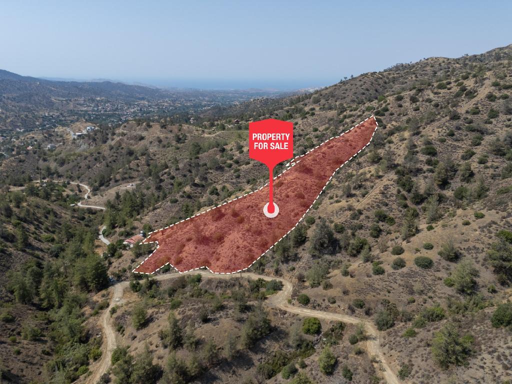 Χωράφι - Σινά Όρος , Λευκωσία