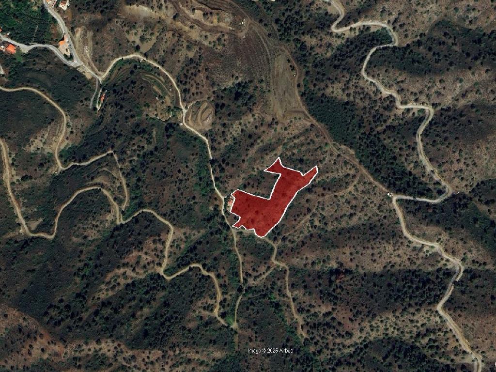 Χωράφι-Σίνα Όρος-PR43253