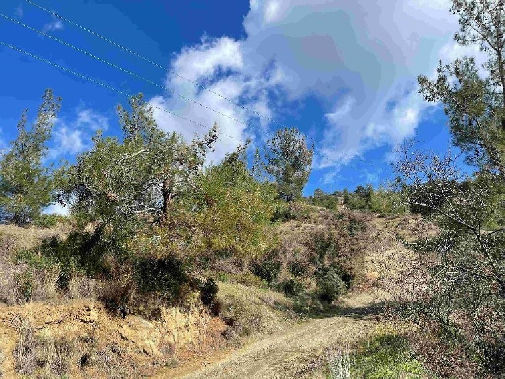 Χωράφι - Σινά Όρος , Λευκωσία